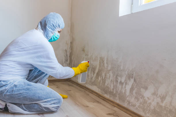 Licensed Commercial Mold Remediation service in Renton, WA - 24 Hour Mold Removal