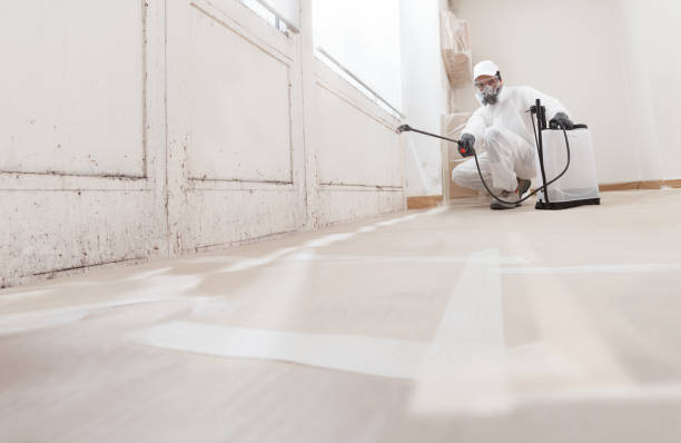 24/7 Emergency Commercial Mold Remediation experts in Renton, WA