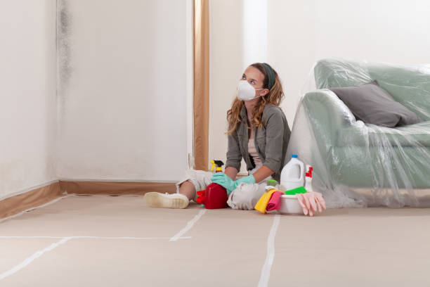 Reliable Commercial Mold Remediation contractor in Renton, WA by 24 Hour Mold Removal